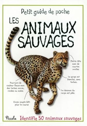 Les animaux sauvages - Sally Morgan