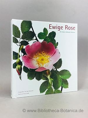 Bild des Verkufers fr Ewige Rose. Ein immer whrender Kalender. zum Verkauf von Bibliotheca Botanica