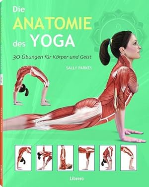 Bild des Verkufers fr Die Anatomie des Yoga zum Verkauf von Smartbuy