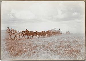 Seller image for Ten horse freighter outfit in Montana' for sale by Tschanz Rare Books