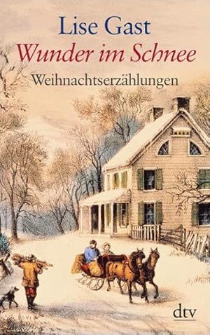 Wunder im Schnee: Weihnachtserzählungen (dtv großdruck)