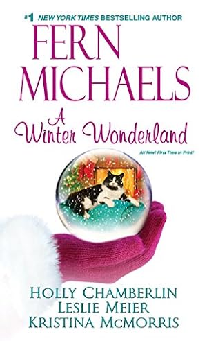 Seller image for A Winter Wonderland for sale by Reliant Bookstore