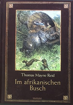 Imagen del vendedor de Im afrikanischen Busch. a la venta por books4less (Versandantiquariat Petra Gros GmbH & Co. KG)