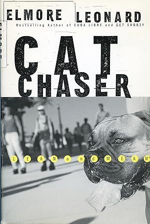 Immagine del venditore per Cat Chaser venduto da Brookfield Books