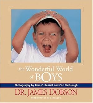 Seller image for The Wonderful World of Boys for sale by Reliant Bookstore