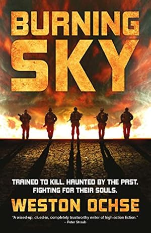 Bild des Verkufers fr Burning Sky zum Verkauf von WeBuyBooks