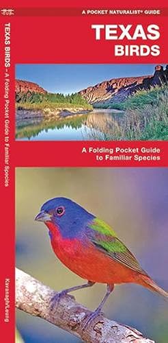 Seller image for Texas Birds (Paperback) for sale by Grand Eagle Retail