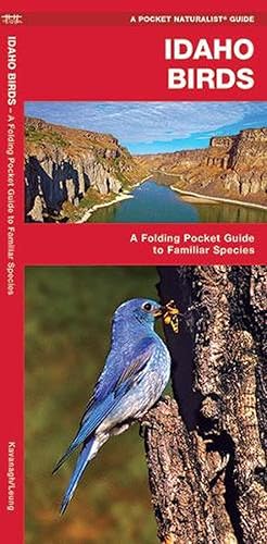 Seller image for Idaho Birds (Paperback) for sale by Grand Eagle Retail