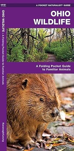 Seller image for Ohio Wildlife (Paperback) for sale by Grand Eagle Retail