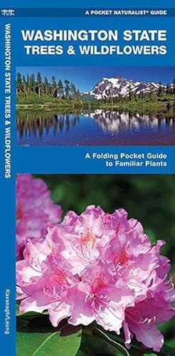 Seller image for Washington State Trees & Wildflowers (Paperback) for sale by Grand Eagle Retail