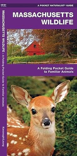 Seller image for Massachusetts Wildlife (Paperback) for sale by Grand Eagle Retail