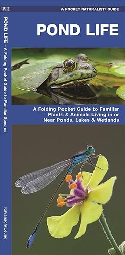 Seller image for Pond Life (Paperback) for sale by Grand Eagle Retail