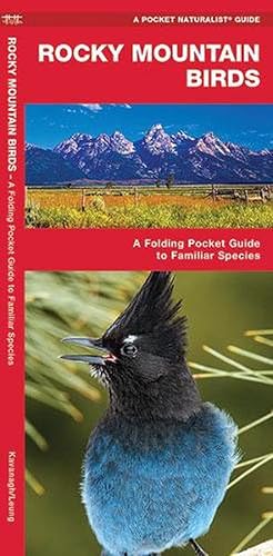 Seller image for Rocky Mountain Birds (Paperback) for sale by Grand Eagle Retail