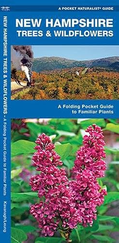 Seller image for New Hampshire Trees & Wildflowers (Paperback) for sale by Grand Eagle Retail