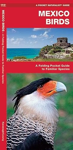 Seller image for Mexico Birds (Paperback) for sale by Grand Eagle Retail