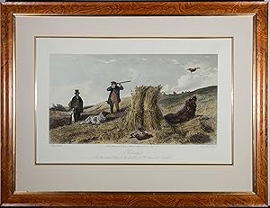 Seller image for Thompson after Richard Ansdell - 1852 Engraving, Partridge for sale by Sulis Fine Art