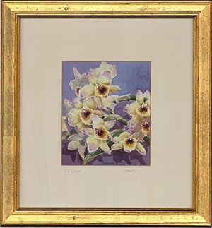 Sue Bourne - 20th Century Watercolour, Orchids I