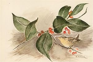E. Fowler - Contemporary Watercolour, Berries and Bird