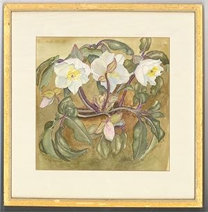 Celia Child Villiers - 1995 Watercolour, Christmas Roses