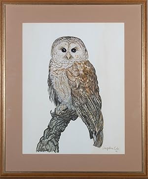 Jacqueline Cole - 1978 Watercolour, Disgruntled Owl