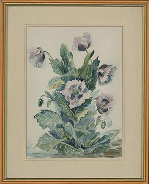 Elke Squibbs - 20th Century Watercolour, Garden Poppies