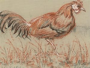 Michael Cadman RI ARCA (1920-2012) - 1966 Pastel, Indian Jungle Fowl