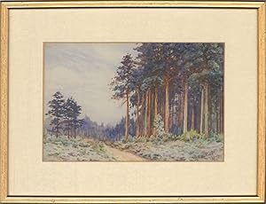 V. I. Hull - 1936 Watercolour, Pine Forest