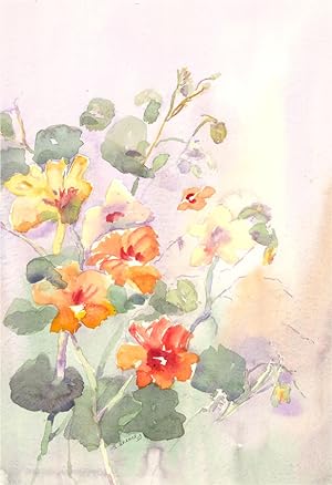 I. Barnes - 20th Century Watercolour, Flower Study