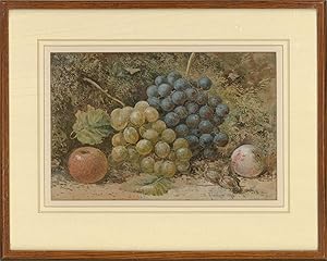 D. Harrison - 1893 Watercolour, Grapes, Hazelnuts And Apples