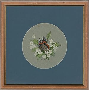 Ray G. Lewis - 20th Century Gouache, Red Admiral on Hawthorn