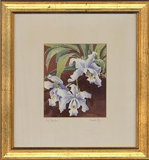 Sue Bourne - 20th Century Watercolour, Orchids III