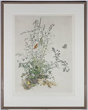 Gillian Whaite (1934-2012) - 20th Century Etching, Grasses and Butterflies