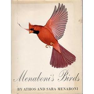 Seller image for Menaboni's Birds for sale by Buteo Books