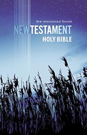 Seller image for NIV, Outreach New Testament, Paperback, Blue for sale by Reliant Bookstore