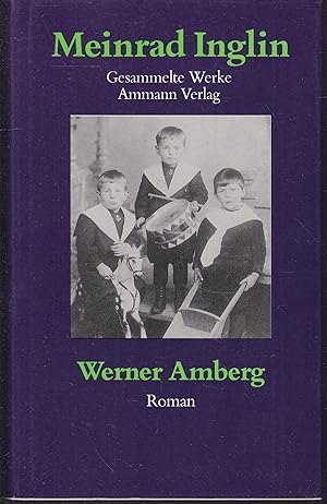 Bild des Verkufers fr Werner Amberg. Die Geschichte einer Jugend (= Gesammelte Werke in zehn Bnden, Band 6) zum Verkauf von Graphem. Kunst- und Buchantiquariat