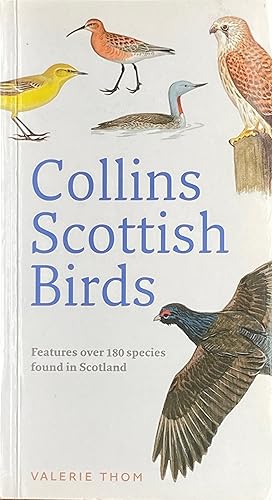 Seller image for Scottish birds for sale by Acanthophyllum Books