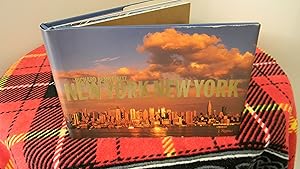 Imagen del vendedor de New York New York Mini a la venta por Hall's Well Books