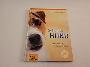 Schlauer Hund. So fördern Sie, was in ihm steckt.