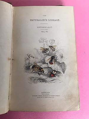 THE NATURALIST'S LIBRARY. ENTOMOLOGY VOL. VI BEES