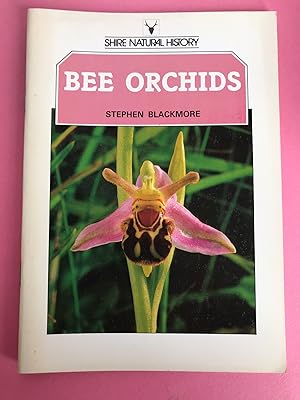 BEE ORCHID (Shire Natural History)