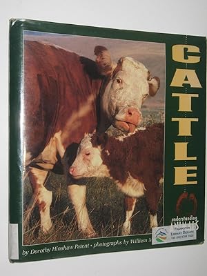 Cattle