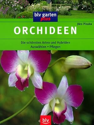 Seller image for Orchideen for sale by Antiquariat Buchhandel Daniel Viertel