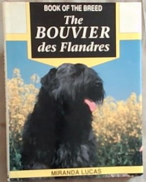 The Bouvier Des Flandres