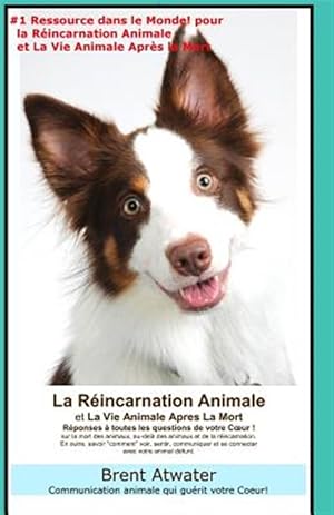 Immagine del venditore per La Reincarnation Animales Et La Vie Animale Apres La Mort: Reponses a Toutes Les Questions de Votre Coeur! -Language: french venduto da GreatBookPricesUK