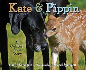 Seller image for Kate & Pippin: An Unlikely Love Story (My Readers) for sale by Reliant Bookstore