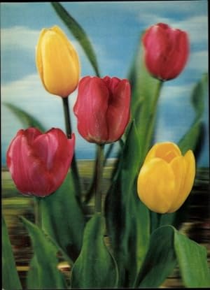 3D Ansichtskarte / Postkarte Rote und gelbe Tulpen, Tulips