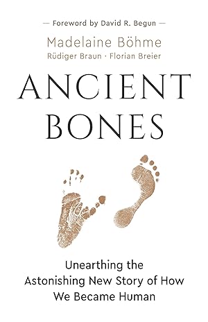 Bild des Verkufers fr Ancient Bones: Unearthing the Astonishing New Story of How We Became Human zum Verkauf von moluna