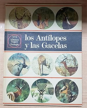 Immagine del venditore per Los Antlopes y las Gacelas venduto da Libros Tobal