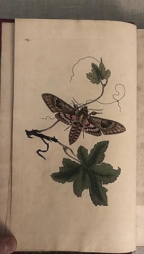 The Natural History of British Insects; Explaining Them in Their Several States, with The Periods...