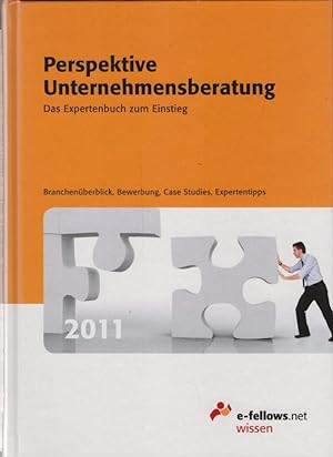 Perspektive Unternehmensberatung 2011. Das Expertenbuch zum Einstieg. Branchenüberblick, Bewerbun...